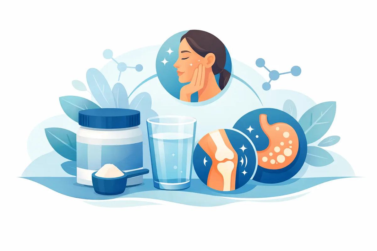 What Collagen Peptides Can Actually Support
